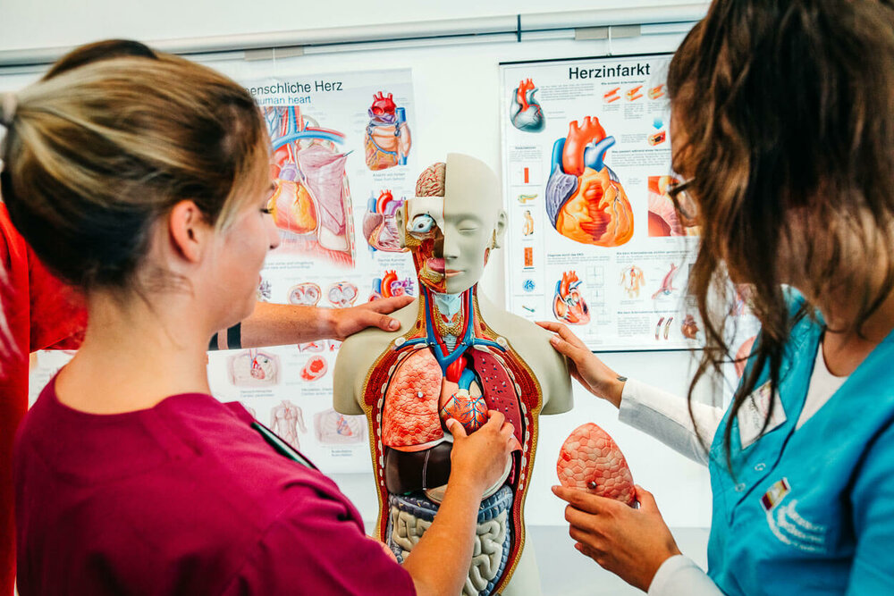 Zwei Auszubildende in der Pflege stehen an einem Anatomie-Modell